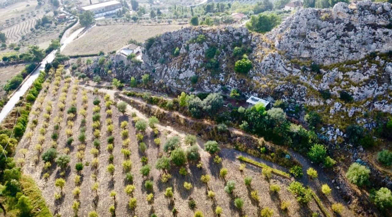 B&B Tenuta La Puntara Кальтаниссетта Экстерьер фото